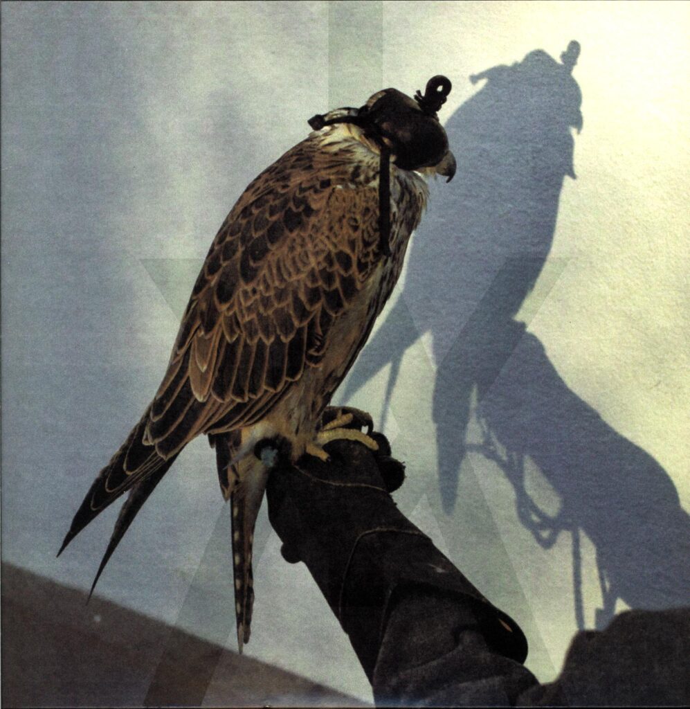 Iceage-You're Nothing-LP Vinyl