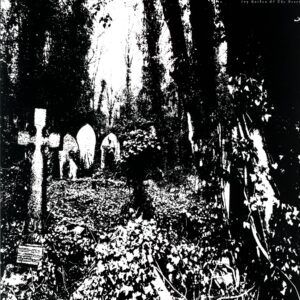 Ivy Garden Of The Desert-Docile green splatter-12 Vinyl