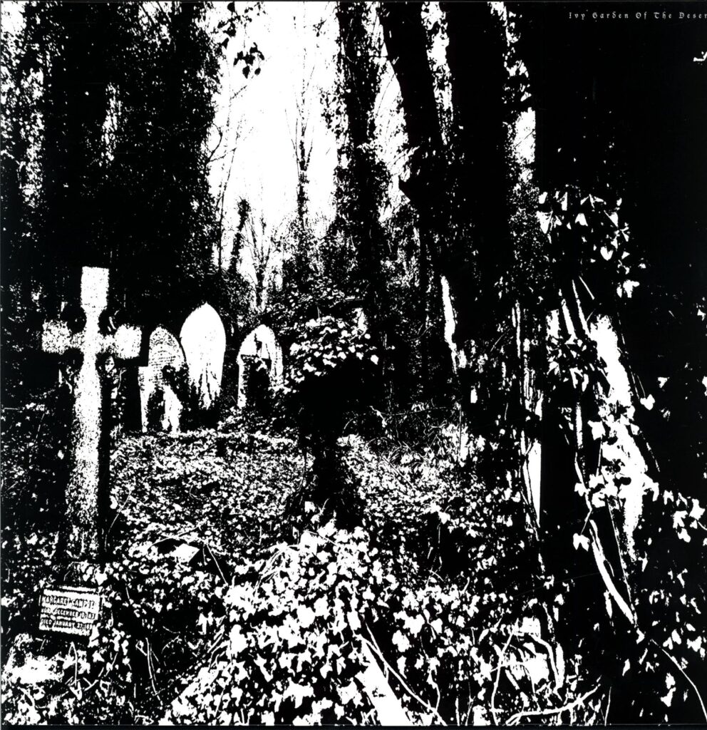 Ivy Garden Of The Desert-Docile green splatter-12 Vinyl