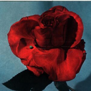 Metz-Up On Gravity Hill-CD