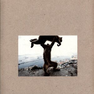 Shellac-Dude Incredible-LP Vinyl