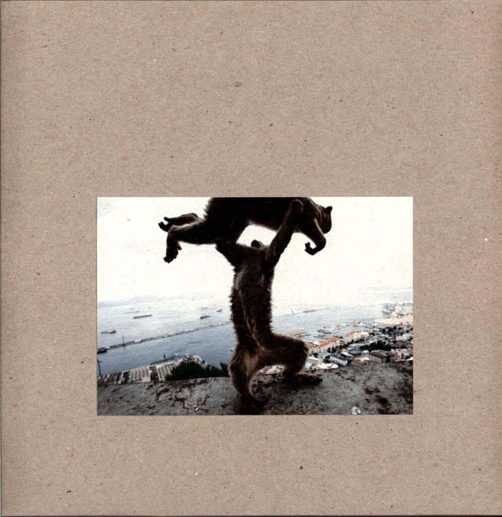 Shellac-Dude Incredible-LP Vinyl