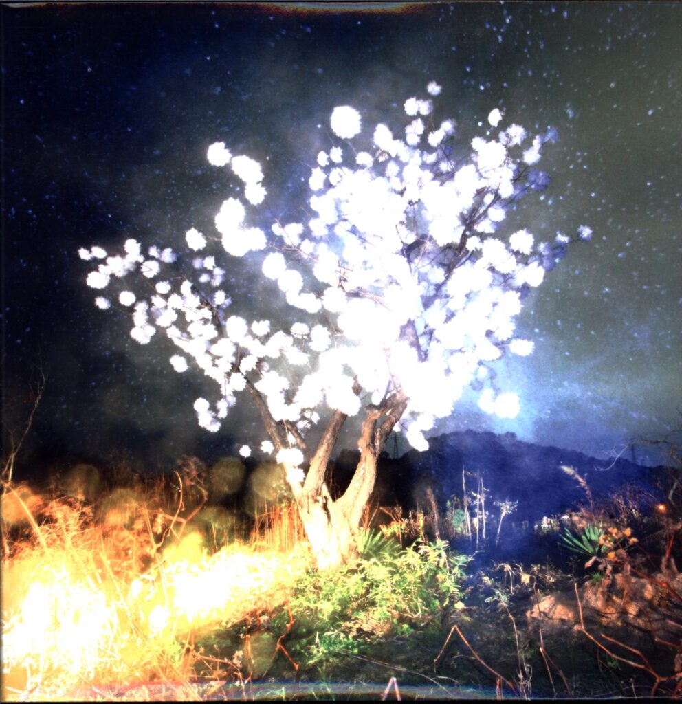 The Notwist-Vertigo Days-LP Vinyl green