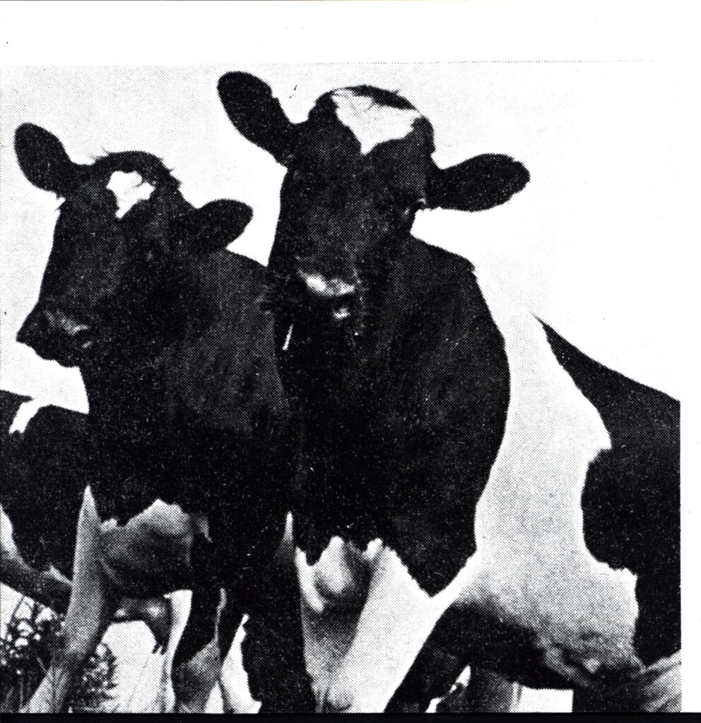 Various-Ghostriders In The Sky-LP Vinyl