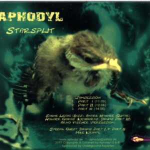 Cosmic Fall-Starsplit-CD