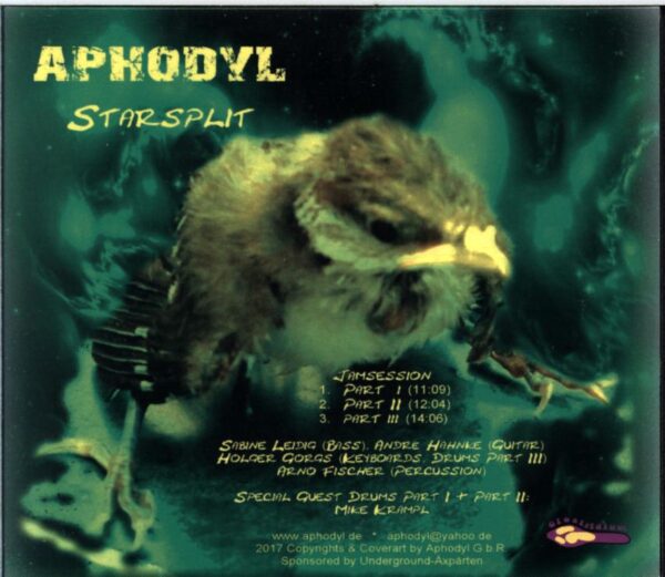 Cosmic Fall-Starsplit-CD