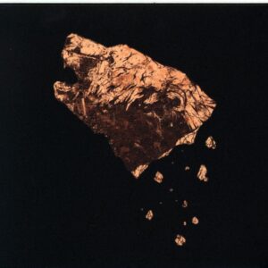 Crippled Black Phoenix-Bronze-CD