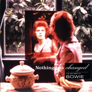 David Bowie-Nothing Has Changed-LP Vinyl