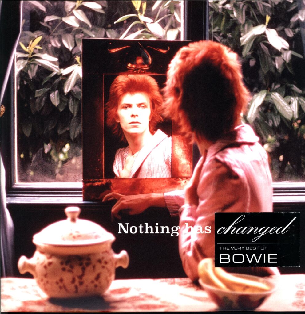 David Bowie-Nothing Has Changed-LP Vinyl