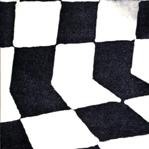 Ducktails-The Flower Lane-LP Vinyl