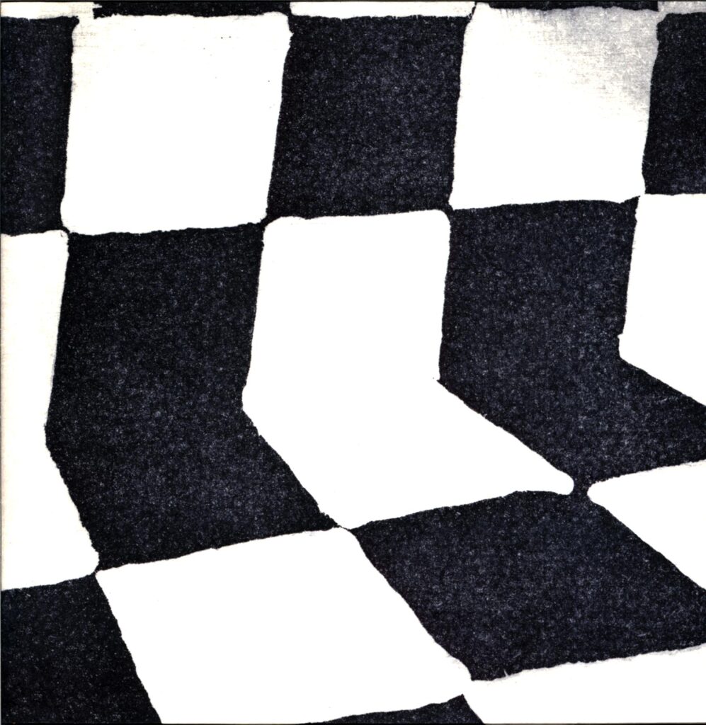 Ducktails-The Flower Lane-LP Vinyl