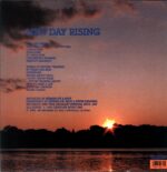 Hüsker Dü-New Day Rising US Reissue-LP Vinyl