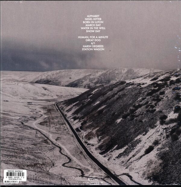 Shame-Drunk Tank Pink smoke-LP Vinyl