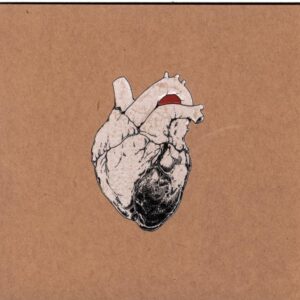 Swans-The Beggar-CD