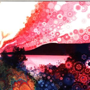 The Chris Robinson Brotherhood-Phosphorescent Harvest -CD