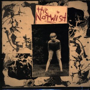 The Notwist-The Notwist Reissue 2008-LP Vinyl