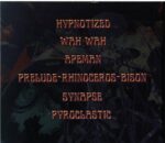 The Spacelords-Live @ Psychedelic Network Festival 2012-CDr