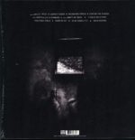 This Is The Kit-Moonshine Freeze-LP Vinyl