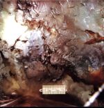 Cocteau Twins-Head Over Heels-LP Vinyl 2025