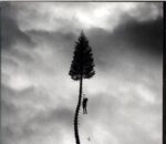 Manchester Orchestra-A Black Mile To The Surface-CD