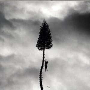 Manchester Orchestra-A Black Mile To The Surface-CD