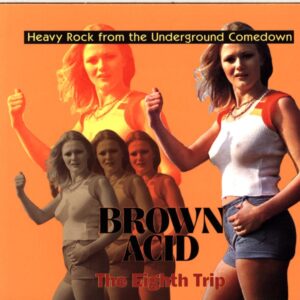 Various-Brown Acid The Eighth Trip (Heavy Rock From The Underground Comedown)-CD