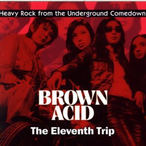 Various-Brown Acid The Eleventh Trip (Heavy Rock From the Underground Comedown)-CD