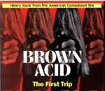 Various-Brown Acid The First Trip (Heavy Rock From The American Comedown Era)-CD