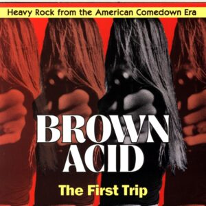 Various-Brown Acid The First Trip (Heavy Rock From The American Comedown Era)-CD