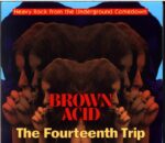 Various-Brown Acid The Fourteenth Trip (Heavy Rock From The Underground Comedown)-CD