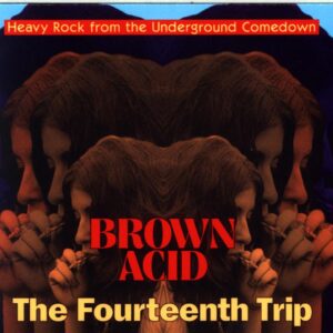 Various-Brown Acid The Fourteenth Trip (Heavy Rock From The Underground Comedown)-CD
