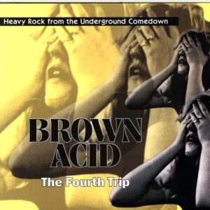 Various-Brown Acid The Fourth Trip (Heavy Rock From The Underground Comedown)-CD
