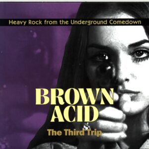 Various-Brown Acid The Third Trip (Heavy Rock From The Underground Comedown)-CD