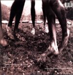 Pearl Jam-Vs. EU 1993-LP Vinyl