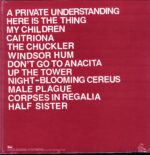 Protomartyr-Relatives In Descent-blue LP Vinyl