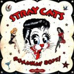 Stray Cats-Runaway Boys! The Anthology-LP Vinyl