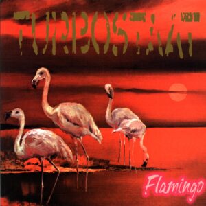 Turbostaat-Flamingo D 2001-LP Vinyl