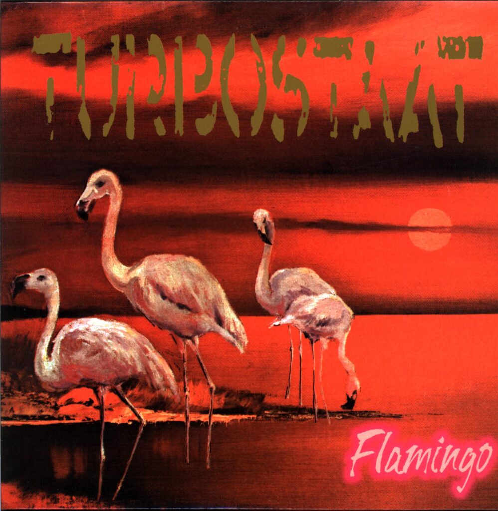 Turbostaat-Flamingo D 2001-LP Vinyl