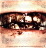 Ty Segall-Fudge Sandwich-LP Vinyl