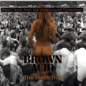 Various-Brown Acid The Tenth Trip (Heavy Rock From The Underground Comedown)-CD