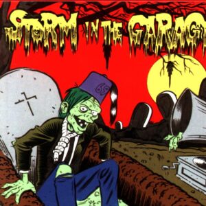 Various-Storm In The Garage-CD