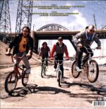 Weezer-Raditude-LP Vinyl