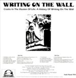 Writing On The Wall-Cracks In The Illusion Of Life A History Of Writing On The Wall-LP Vinyl