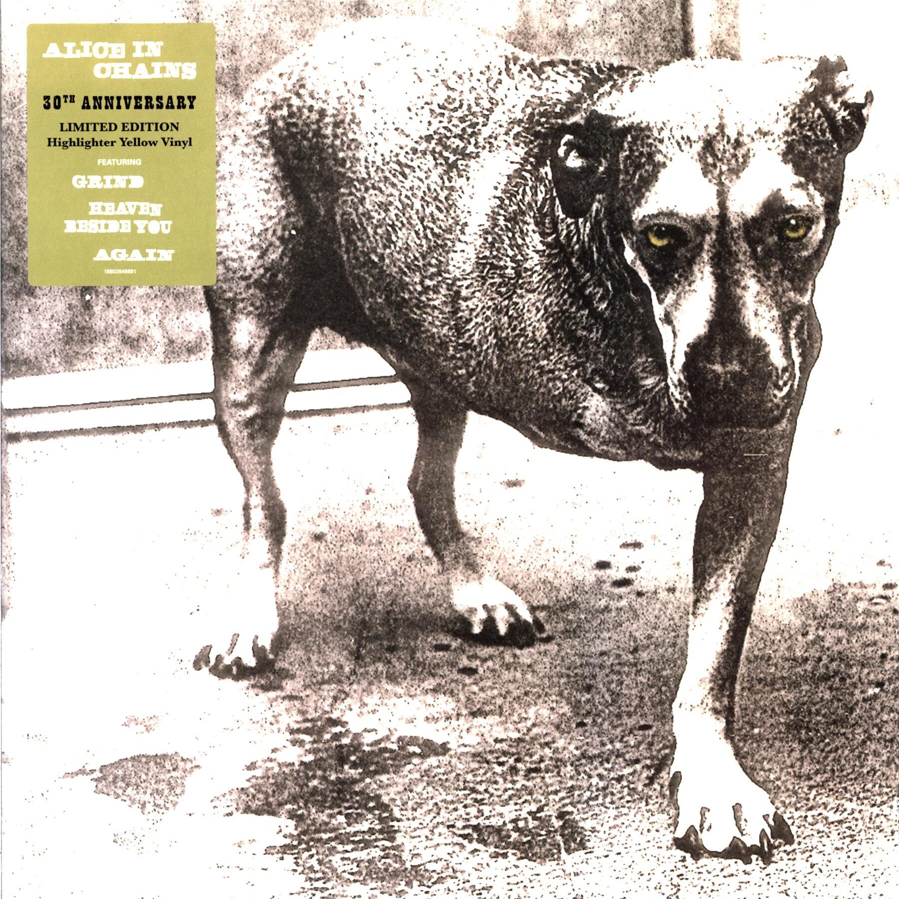 Alice In Chains-Alice In Chains-LP Vinyl 2026 yellow-1 Alice In Chains-Alice In Chains-LP Vinyl 2026 yellow