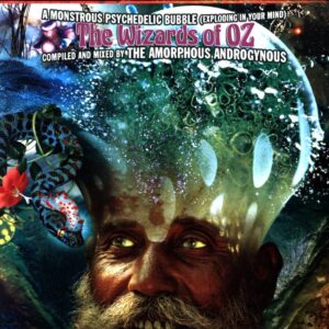 Amorphous Androgynous-A Monstrous Psychedelic Bubble (Exploding In Your Mind) The Wizards Of Oz-CD