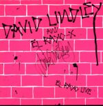 David Lindley And El Rayo-X-El Rayo Live-LP Vinyl signed
