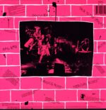 David Lindley And El Rayo-X-El Rayo Live-LP Vinyl signed