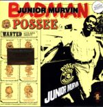 Junior Murvin-Badman Possee-LP Vinyl 2024 yellow