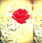 Lambchop-Trip-LP Vinyl