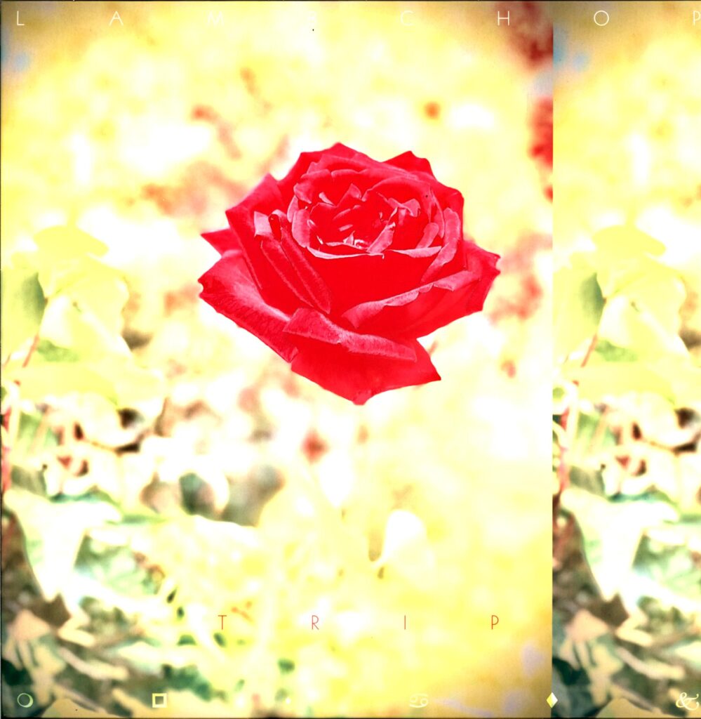 Lambchop-Trip-LP Vinyl